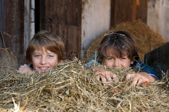 两个男孩躲在干草里图片