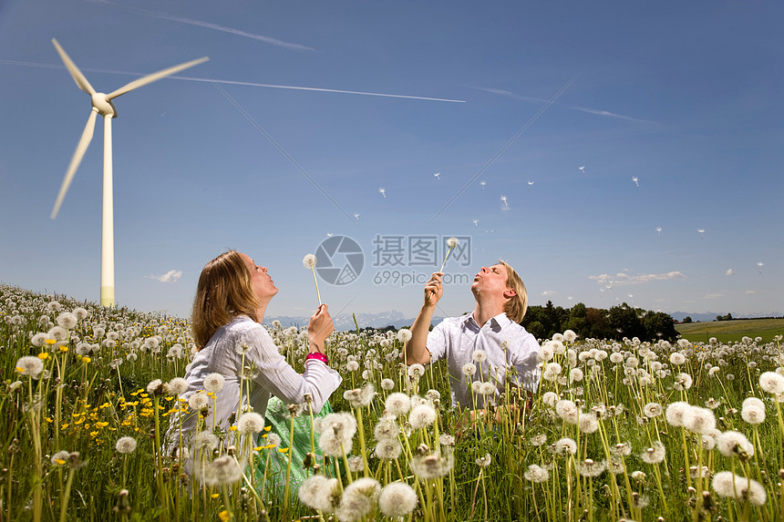 在风车前夫妻吹蒲公英图片