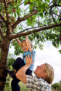 爸爸教儿子爬树图片