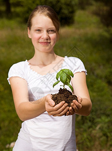 手捧罗勒植物的女孩图片