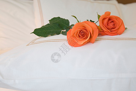 床上放两朵玫瑰图片