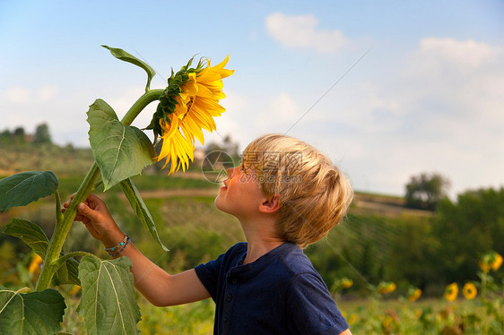 男孩在户外闻向日葵图片
