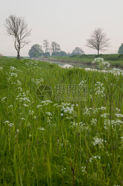 有河的花田图片