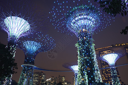 夜晚花园新加坡，夜晚海湾花园中的超级树小角度视图背景