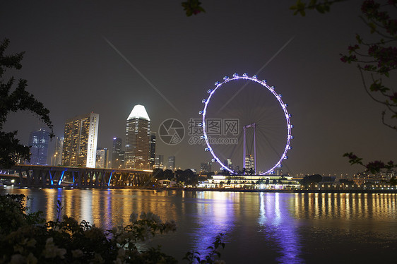 新加坡海滨摩天轮夜景图片