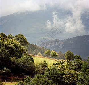 西班牙阿斯图里亚斯Boal附近农村的山地景观图片