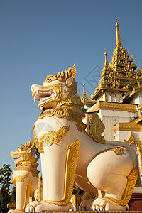 缅甸仰光首都什韦达贡宝塔图片