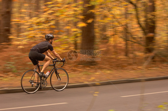 秋天树林里骑自行车图片