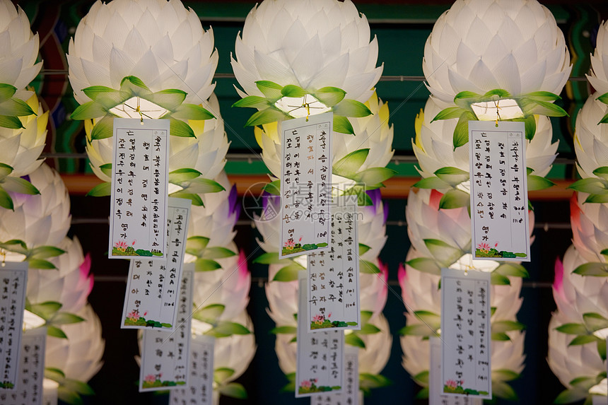 韩国寺庙中的纸灯图片
