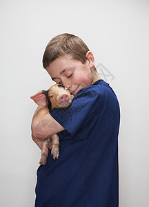 抱男孩的小猪图片