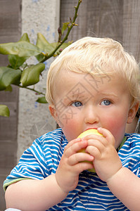 小男孩吃水果图片