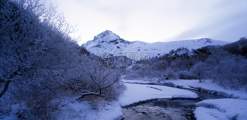 雪景中的河流图片