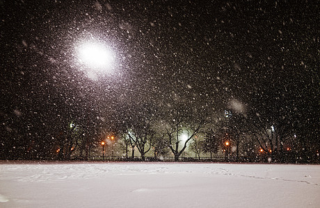 暴风雪中的停车灯和路灯背景图片