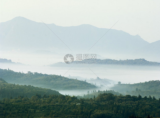 意大利撒丁岛日出时雾谷中的柏树图片