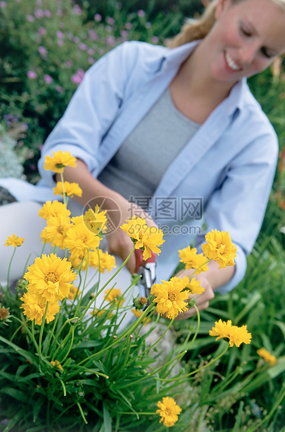 割花的女人图片