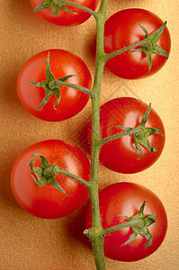 桁架上的西红柿图片