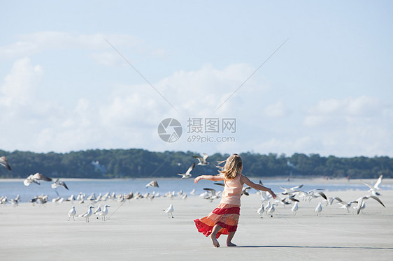 在海鸥中间的海滩上奔跑的女孩图片