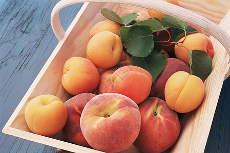 篮子里的桃子和杏子图片