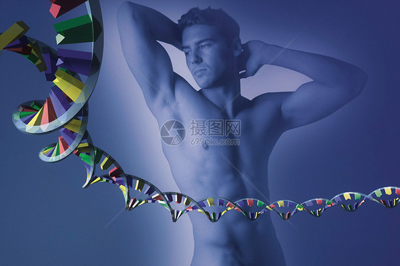 男性遗传基因图片