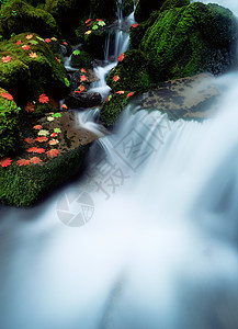 瀑布旁边的河流威拉米特国家森林图片