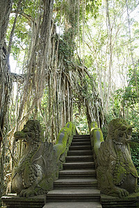 巴厘岛猴林的一座寺庙图片