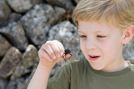 拿着甲虫的小男孩高清图片