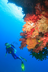 南太平洋潜水员在珊瑚礁中游泳背景