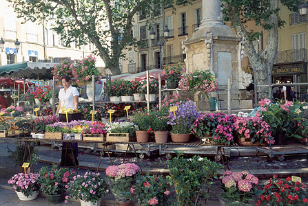 普罗旺斯艾克特尔广场花卉市场图片
