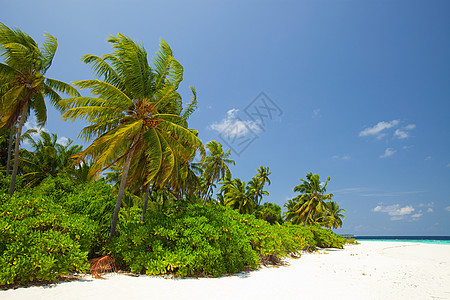 马尔代夫Huvadu环礁南部Baughagello岛图片