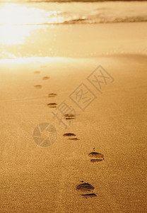 沙地上的脚印图片