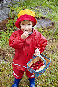 幼儿吃野草莓图片