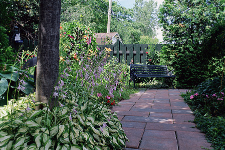 花园里的小路和长凳背景图片