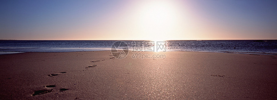 日出时的沙滩图片