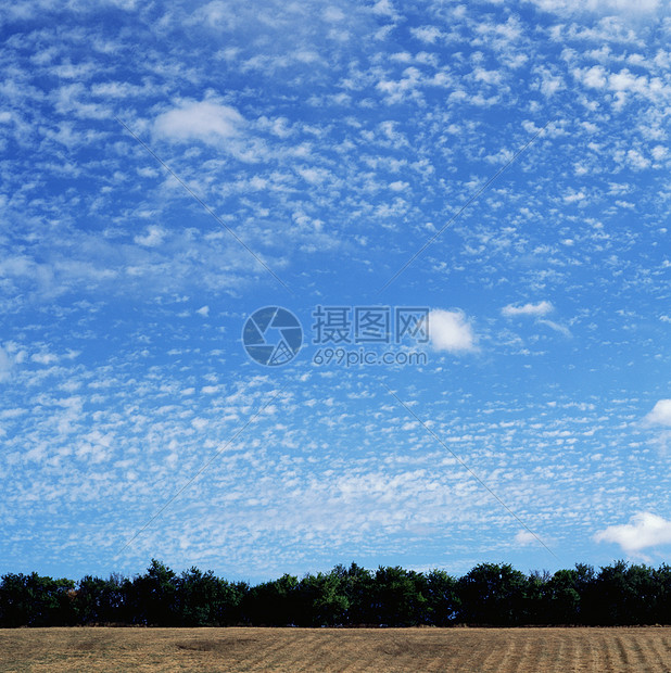 田野上空的云图片