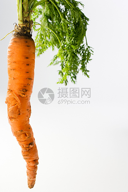 胡萝卜