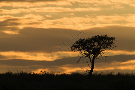 日落，卡拉哈里沙漠，南非，非洲图片