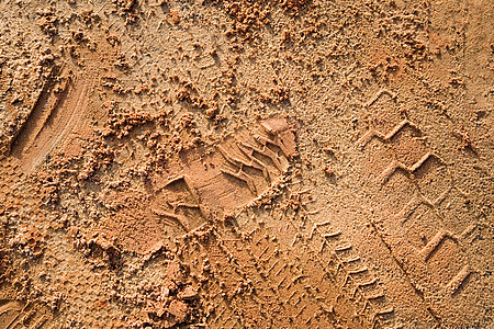 沙地里的足迹图片