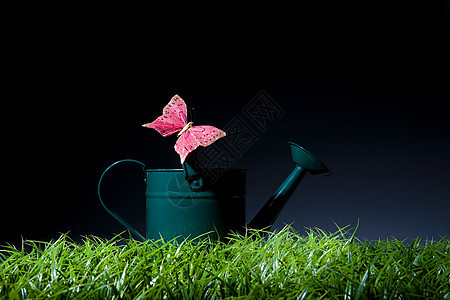 水罐上的粉红蝴蝶图片