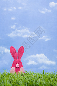 一只粉红色的兔子图片