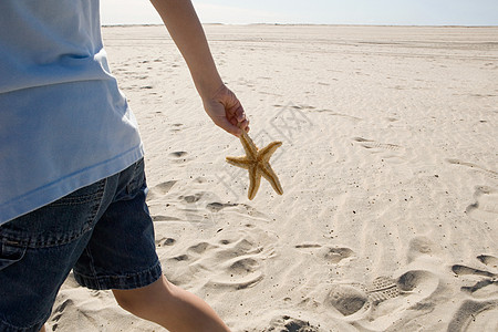 男孩抱着海星在沙滩上散步高清图片