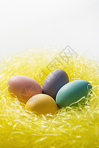 黄色彩蛋巢图片