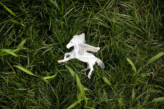 草地上的玩具独角兽图片