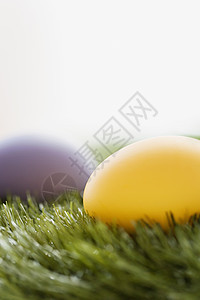 黄色和紫色鸡蛋图片