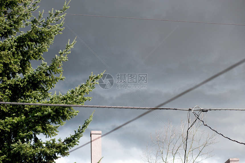 树上和电话线上的风暴云图片