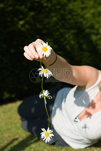 拿着菊花的女人图片