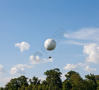 树上的白色热气球图片
