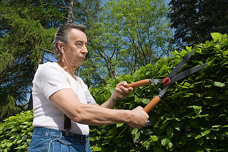 修剪树篱的男人图片