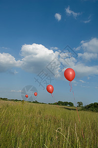野外的红气球图片