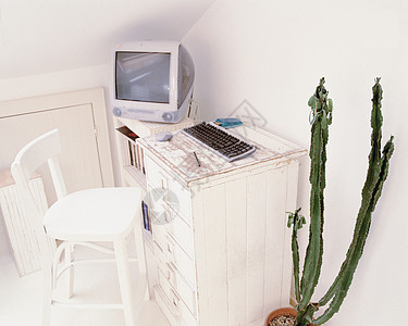 电脑和仙人掌图片