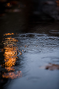 水中的波纹背景图片